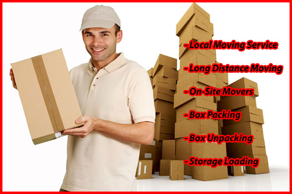 Packers And Movers Noida Sector 20